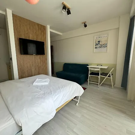 酒店 伊斯坦布尔枢纽公寓 4*