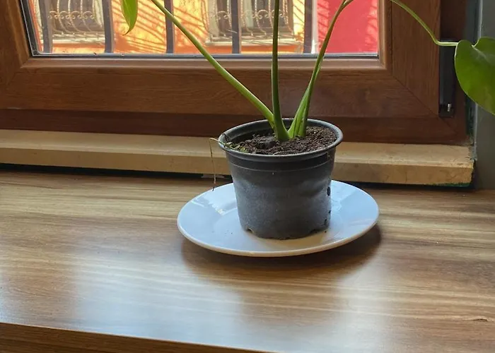 ハブ フラット 5*